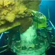 Image for article titled The Gulf Spill, One Year Later